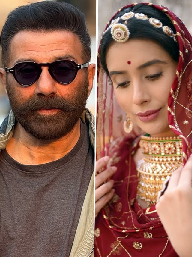 Top News: एक्टिंग छोड़ कपड़े बेचने को मजबूर चारु, सनी देओल की 'जाट' ने उड़ाया गर्दा