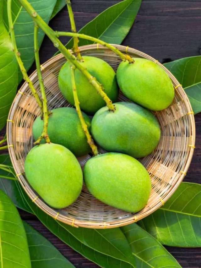 কাঁচা আম তো খাচ্ছেন, কী কী উপকার হয় জানেন?