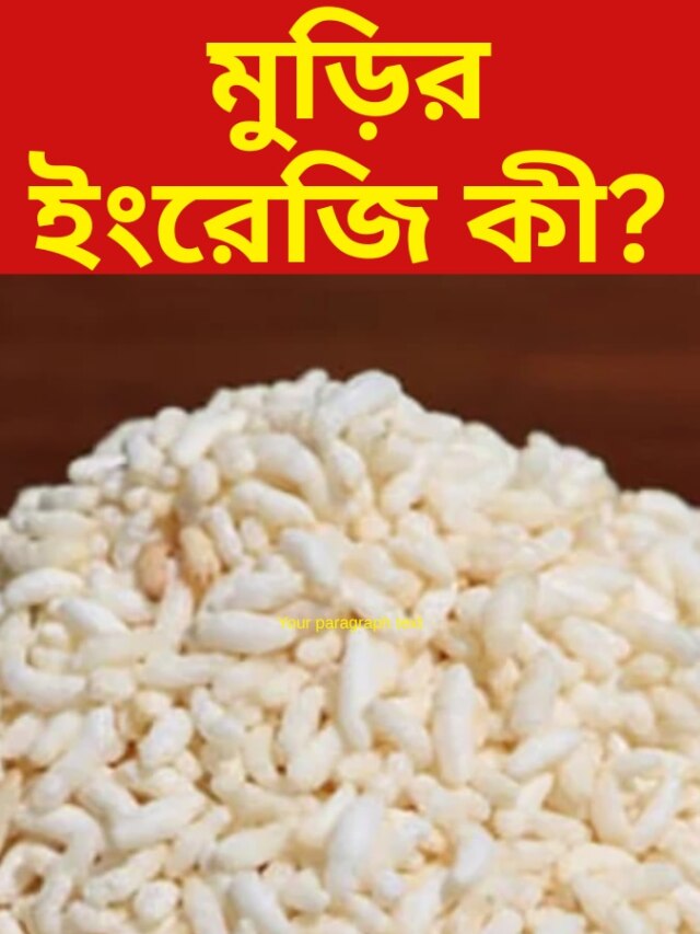 মুড়িকে ইংরেজিতে কী বলে? অনেক পণ্ডিতও জানেন না
