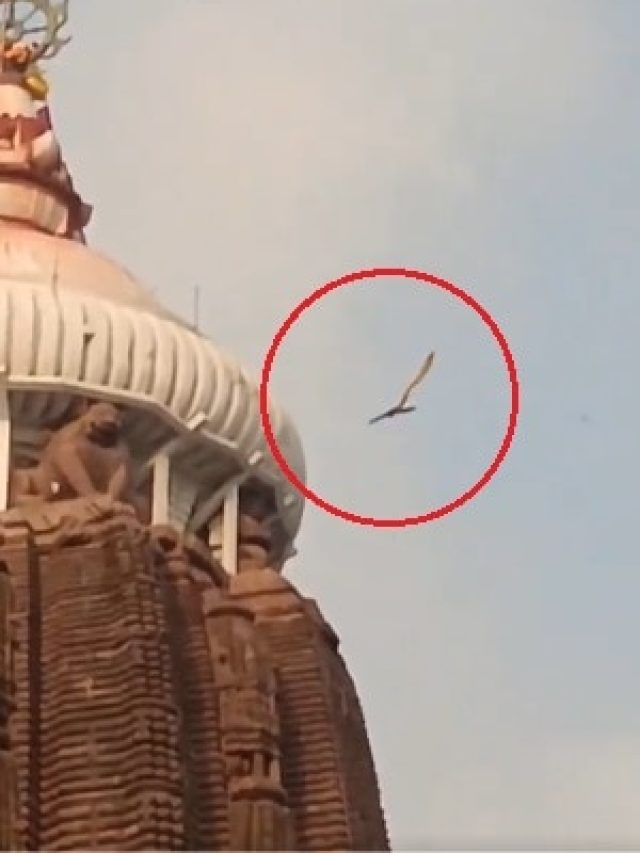 जगन्नाथ मंदिर का ध्वज लेकर उड़ा गरुड़! क्या किसी बड़ी अनहोनी का है संकेत?