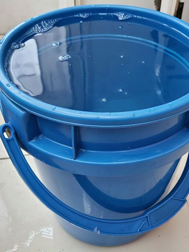 বাথরুমে নীল বালতি থাকলে জীবনে এগুলো ঘটতে থাকে, জেনে রাখুন