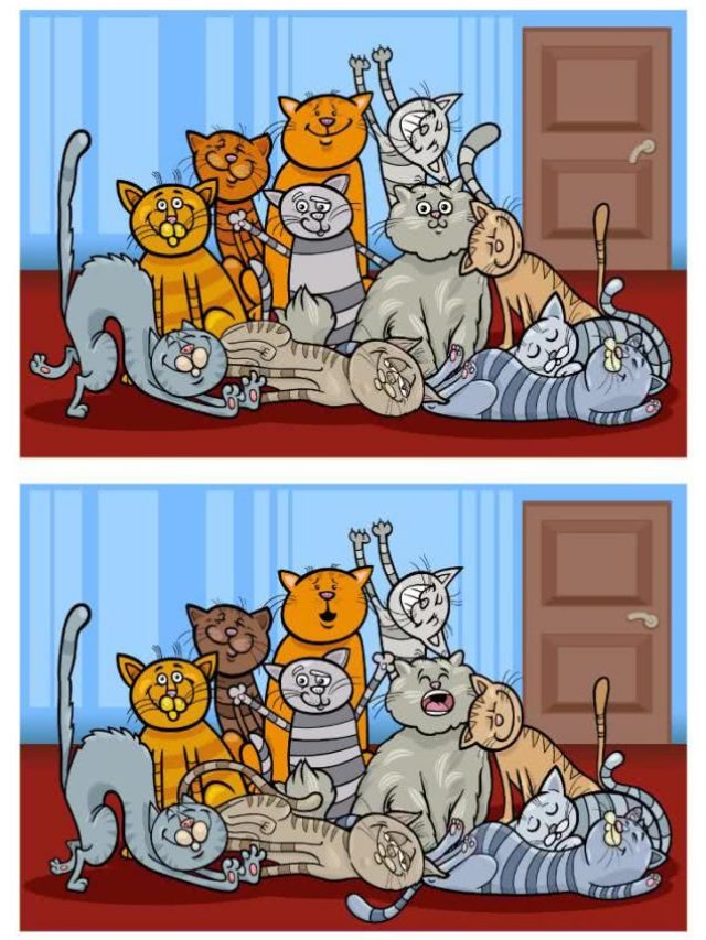 सिर्फ तेज दिमाग वाले ही खोज पाएंगे 10 सेकंड में 5 गलतियां, क्या आप लेंगे चैलेंज