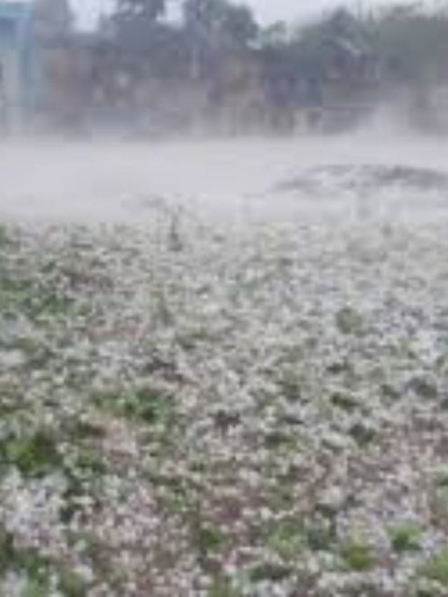 শিলাবৃষ্টির ইংরেজি কী জানেন? অনেক শিক্ষিত লোকও জানে না