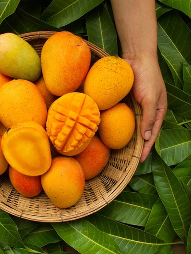 ‘The diabetic dilemma’:  Can you really eat mango without spiking your sugar levels?