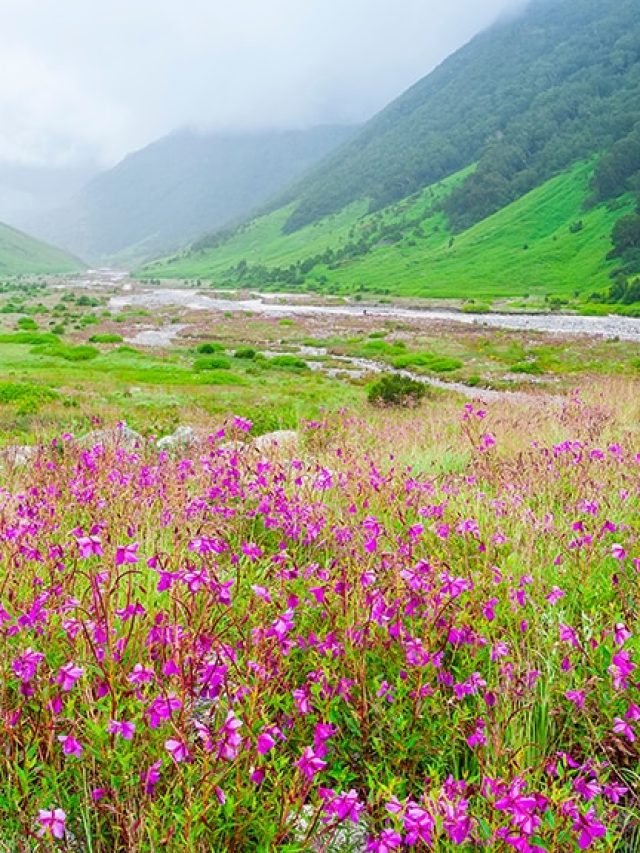 'India’s lost trails': Secret Himalayan treks every adventurer must do once