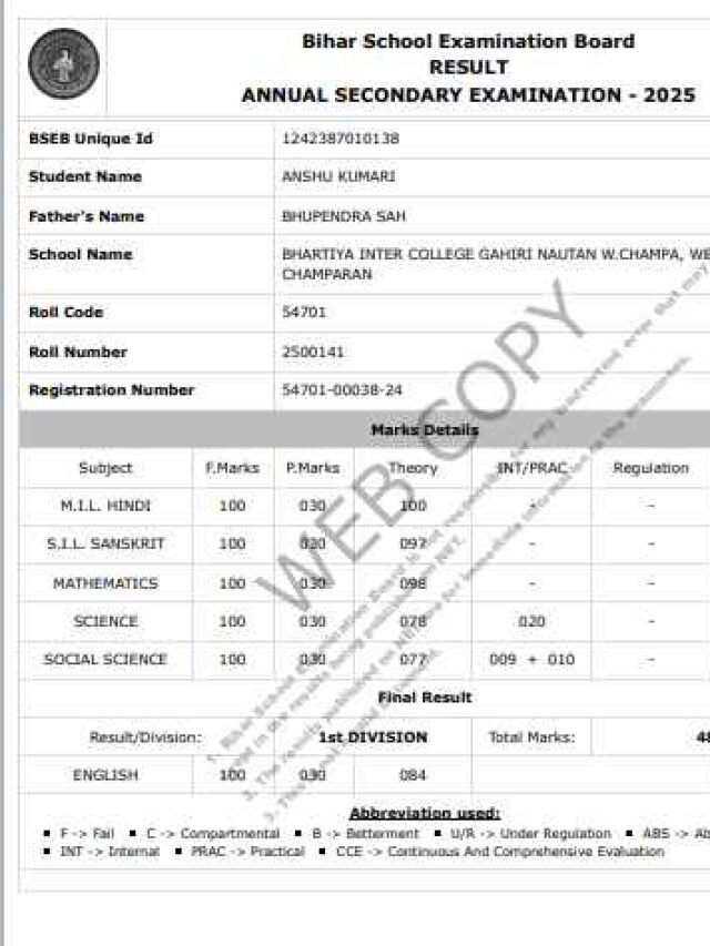 10वीं में आए छप्पर फाड़ नंबर! देखें बिहार बोर्ड टॉपर की वायरल मार्कशीट