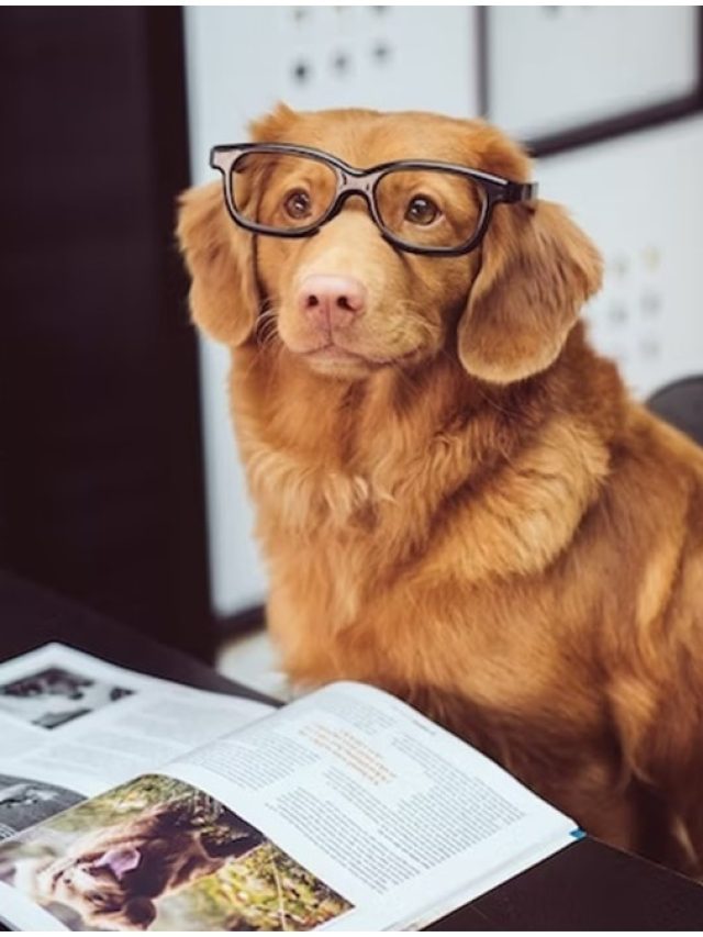 भूल जाएंगे Ghibli, आ गया नया ट्रेंड, जानवरों की फोटो के साथ कर रहे ये काम