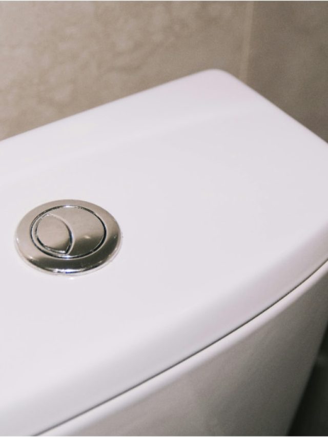 टॉयलेट के फ्लश में क्यों लगे होते हैं दो बटन, क्या आपको पता है इसका सही इस्तेमाल