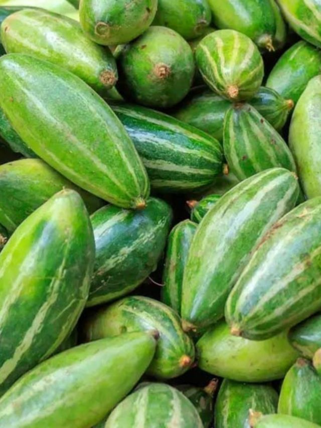 পটল খাওয়া এঁদের জন্য বিষ, পেটে গেলে এসব হবেই