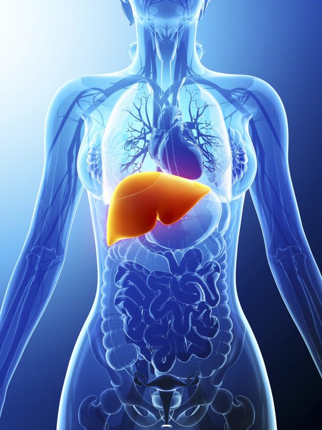 लिवर के 'बेस्ट फ्रेंड' हैं ये 5 ड्राई फ्रूट्स! बनाएं डेली डाइट का हिस्सा