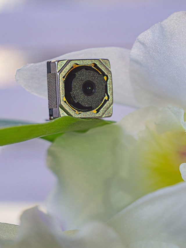 पत्नी ने सेफ्टी के लिए लगाया हिडन कैमरा, पति के अफेयर का हो गया खुलासा, वायरल हुआ केस