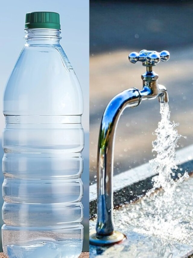 20 रुपये वाली बोतल में मिनरल वॉटर है या नल का सादा पानी? इस कोड से चलेगा पता