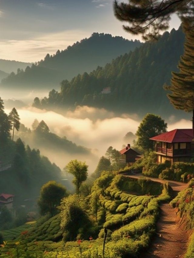 नैनीताल-मसूरी की भीड़ से हो गए हैं परेशान, इन 6 जगहों पर मिलेगा सुकून