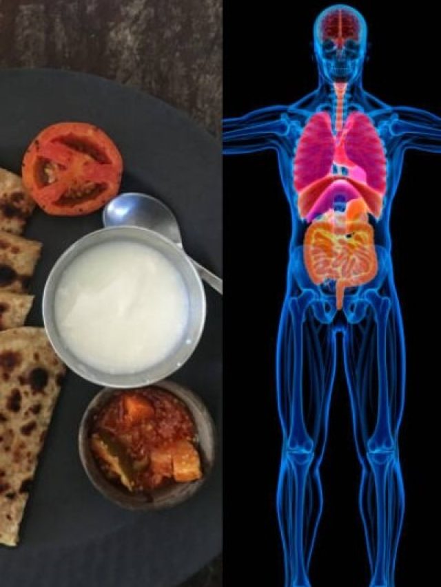 लंच में दही खाने से शरीर पर होता है ऐसा असर, एक्सपर्ट ने इन लोगों के लिए बताया खतरनाक