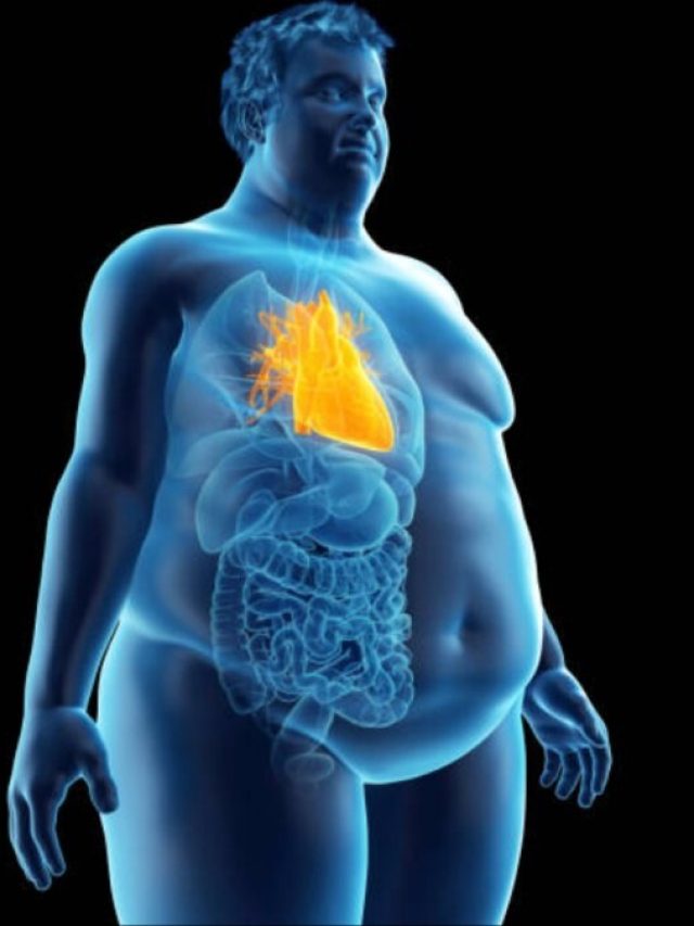 ज्यादा वजन वाले हेल्दी डाइट के साथ रोज खाएं ये 3 चीजें, तेजी से कम होगा मोटा पेट