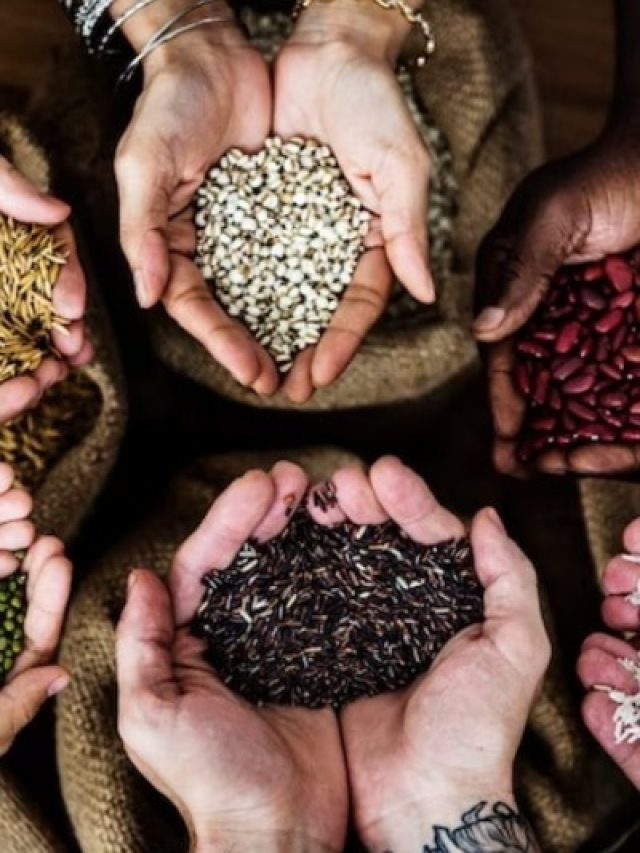 तपती गर्मी में ठंडक देते हैं ये 4 सीड्स, कोलेजन बूस्ट कर जवां दिखने में भी मददगार