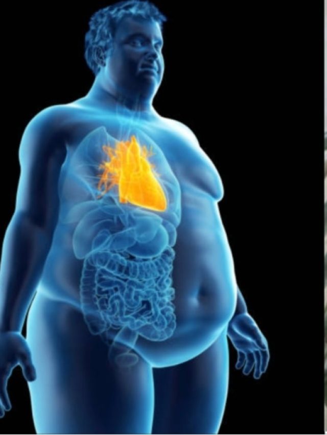 ज्यादा वजन वाले बैलेंस डाइट अपनाएं और रोज खाएं मेथी दाना, पिघलने लगेगा बेली फैट