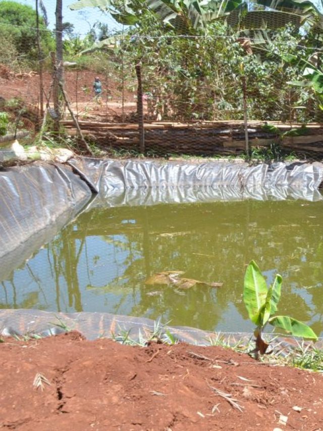 खेत के पास बनाएं छोटा तालाब, फायदे जान हो जाएंगे हैरान