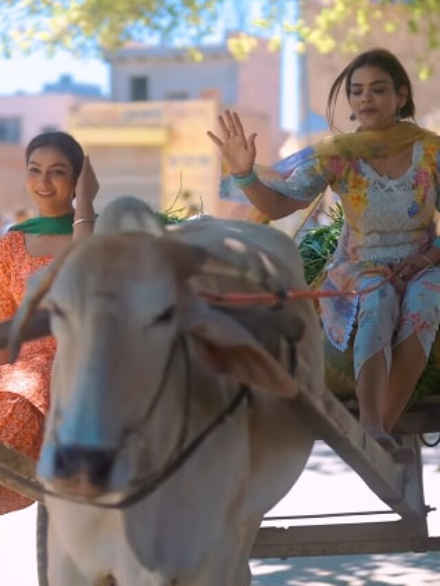 लग्जरी लाइफ से दूर, बैलगाड़ी पर आ गई यूट्यूबर की पहली पत्नी, जी रही ऐसी जिंदगी, VIDEO