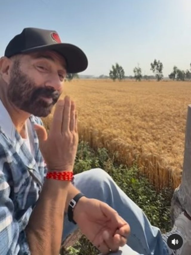 'जाट' का बॉक्स ऑफिस पर जलवा, खेतों में सुकून के पल बिताने पहुंचे सनी, फैंस से कहा- शुक्रिया