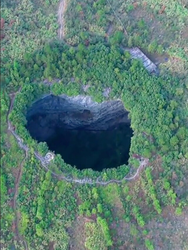 'China’s hidden labs': Tiankengs may be hiding ancient trees and unknown life