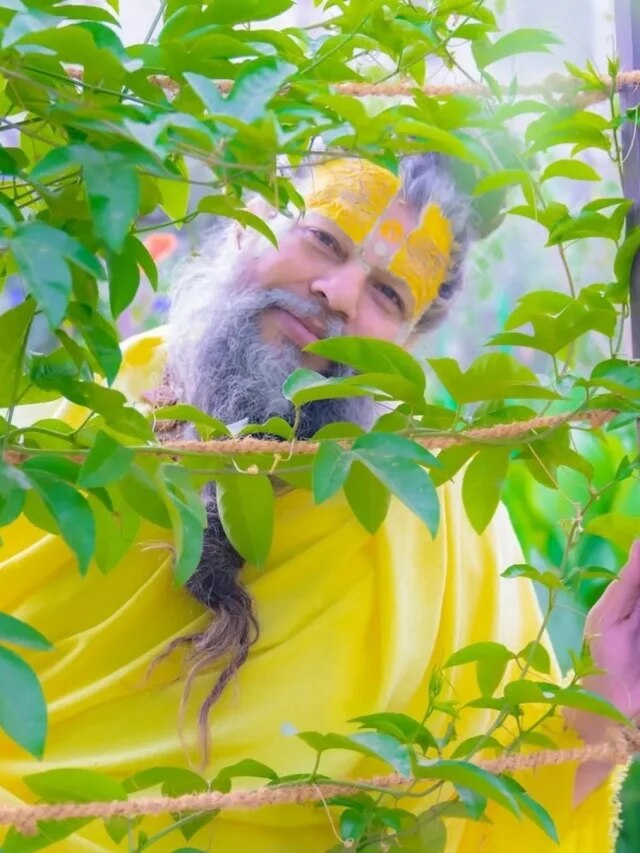 इस दिन तुलसी का पत्ता तोड़ना होता है अशुभ, लगता है ब्रह्महत्या का पाप, प्रेमानंद महाराज ने बताया