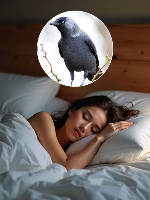 सोते समय सपने में दिखाई दें ये जानवर, तो सामने आएगी बड़ी मुसीबत