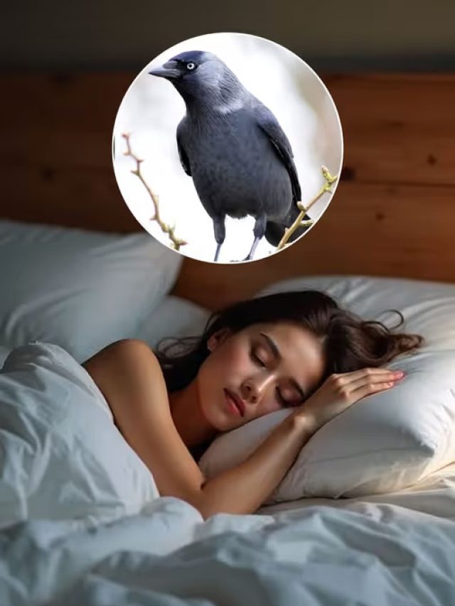 এসব প্রাণীর স্বপ্ন কিসের ইঙ্গিত? বড় সমস্যা এড়াতে জানুন