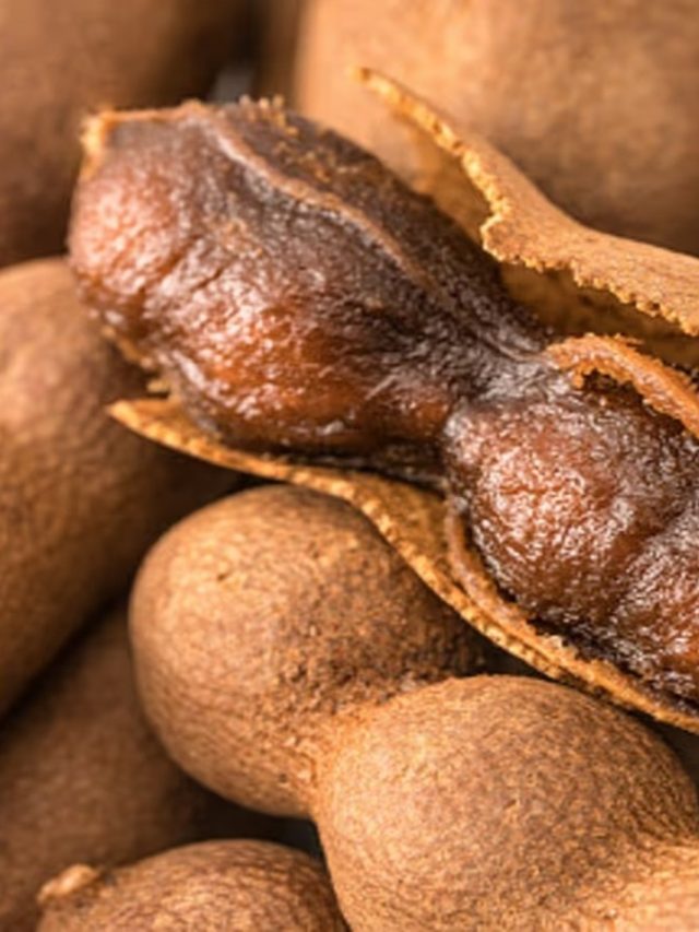 ১টা তেঁতুল লাগান শুধু, উপচে পড়বে সব, কীভাবে,  রইল পদ্ধতি