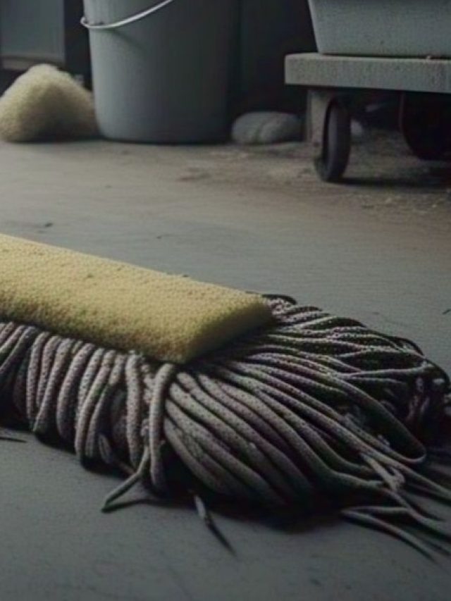 ঘর মোছার মপ কালো হয়ে গিয়েছে? এভাবে করুন নতুনের মতো