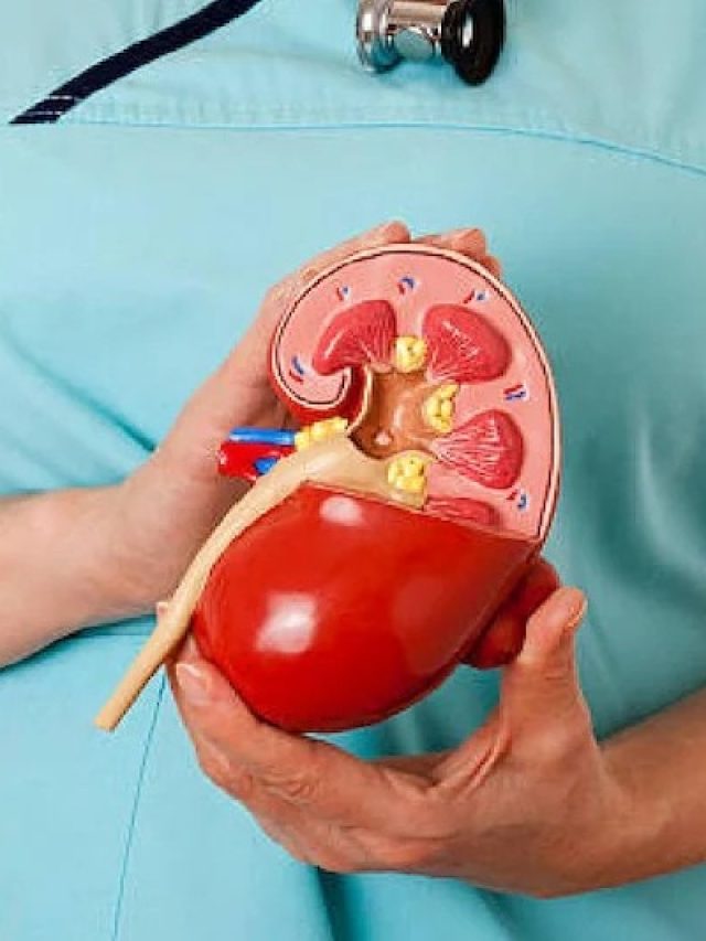 কিডনিতে পাথর তৈরি করে এই ৫ খাবার,  খেলে স্টোন হবেই