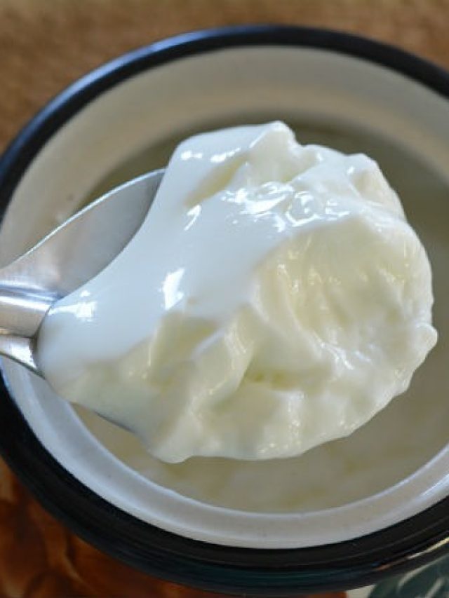 চটজলদি দই জমানোর টিপস, যখন ইচ্ছে তখনই বানিয়ে খান