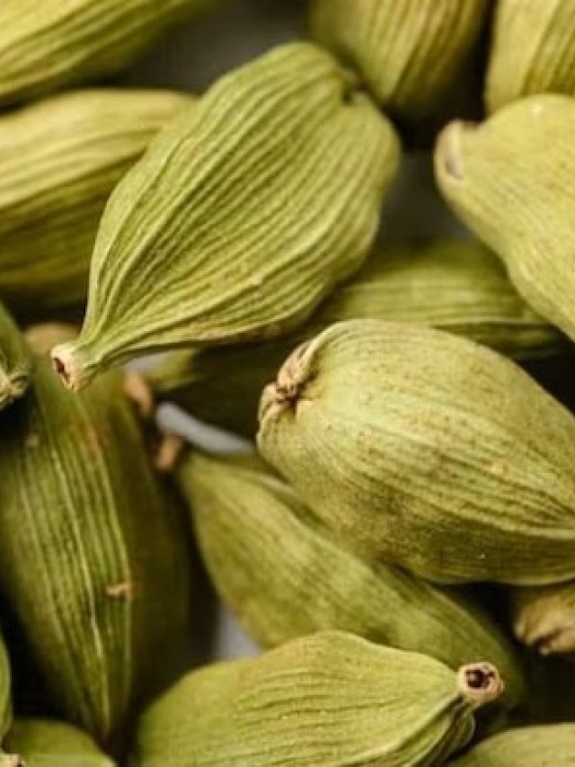 ১টা এলাচ বালিশের নীচে রেখে দিন, ব্যস, শুরু খেলা