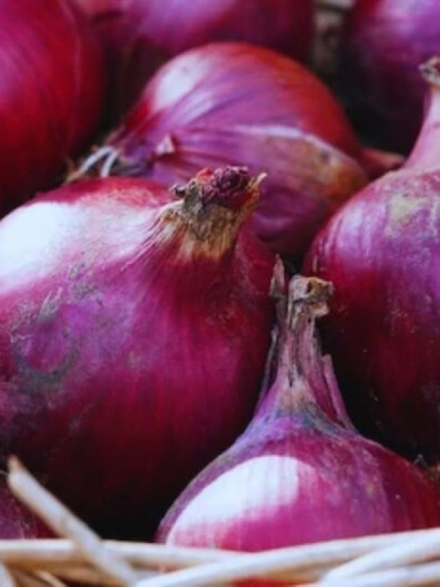 কাঁচা পেঁয়াজ ভাতের সঙ্গে কামড়ে খেলে এসব হয়, জানুন