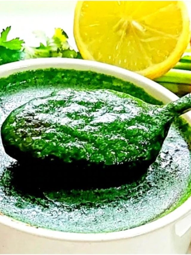 এই চাটনি বানিয়ে রাখুন, মোমো কিংবা তেলেভাজা সব কিছুর সঙ্গে খেতে পারবেন