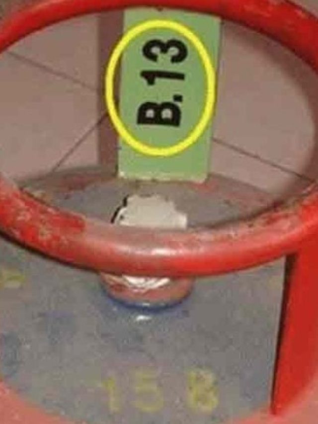 গ্যাস সিলিন্ডারের গায়ে কেন লেখা থাকে B 13, D 29 এরকম নম্বর,  না জানলে বড় বিপদ