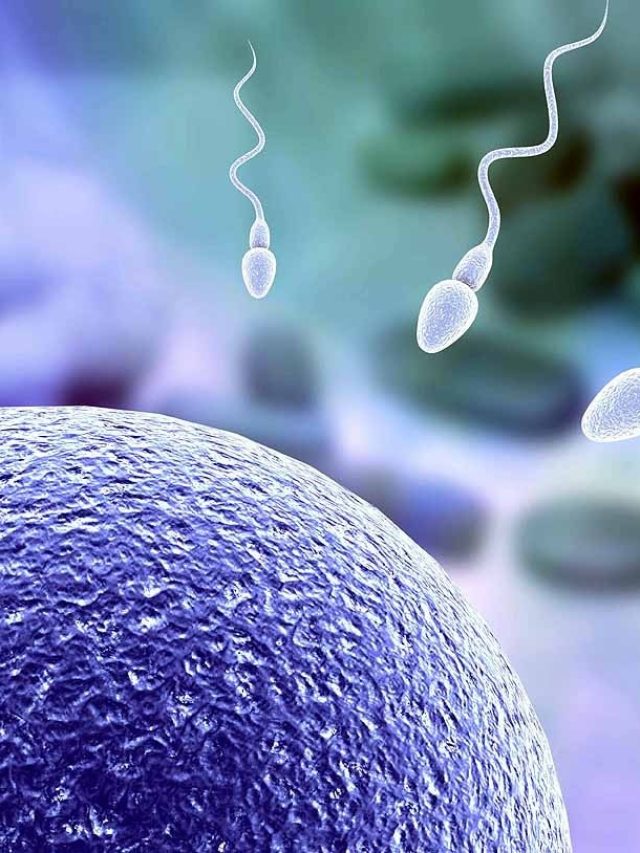 मां के गर्भधारण का महीना तय करता है आपका बॉडी फैट