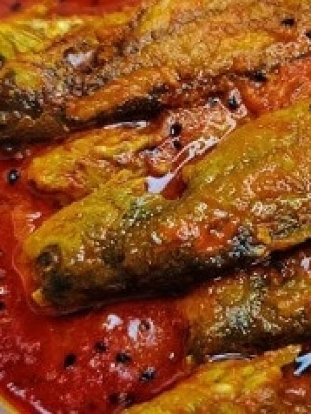 ট্যাংরা মাছের তেল ঝাল এভাবে বানালে মাংসও হার মানবে, সহজ রেসিপি