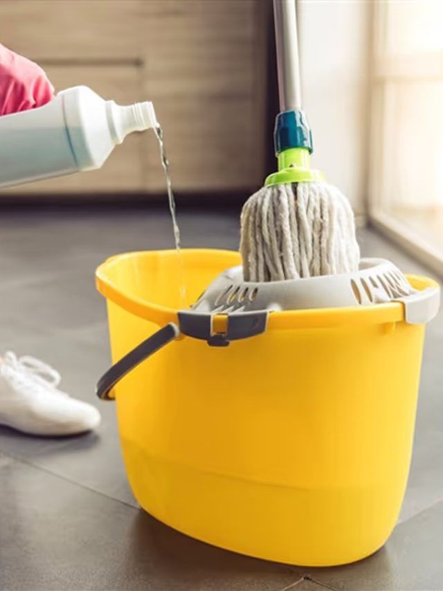 ঘর মোছার জলে  মেশান রান্নার এই মশলা, সুখ-ধন বাড়তেই থাকবে