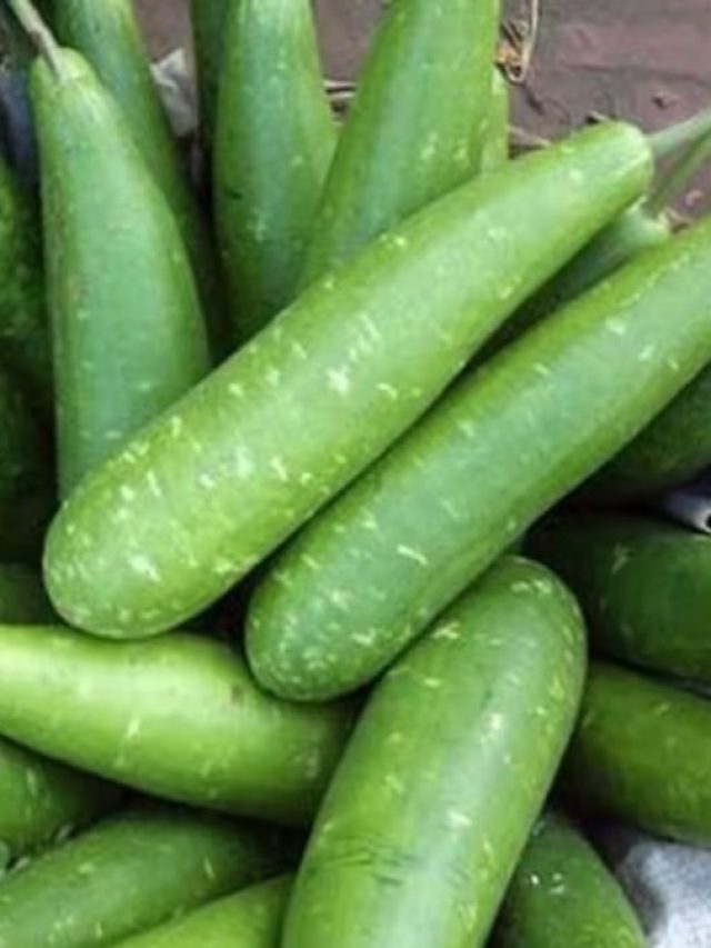 লাউয়ের ইংরেজি কী? ইংলিশে পণ্ডিতরাও জানেন না