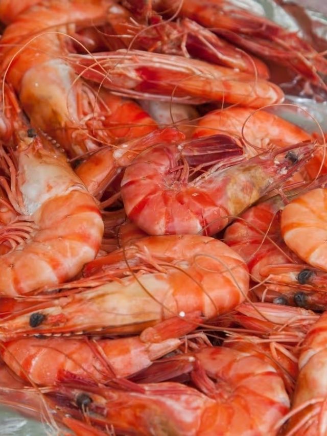 চিংড়ি মাছ ভুলেও কারা খাবেন না,  খেলে এসব হয়