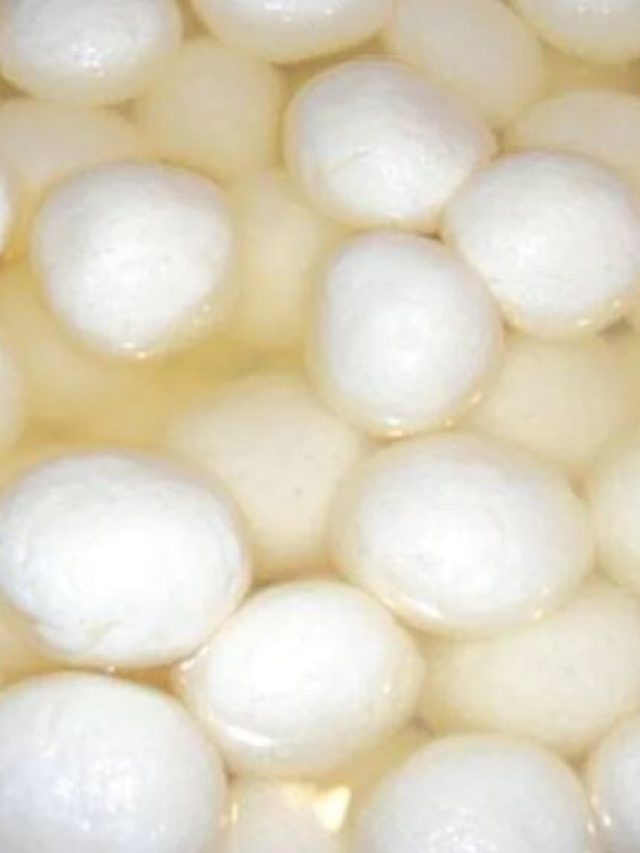 রসগোল্লার ইংরেজি কী? সঠিক উত্তর অনেকেই জানেন না