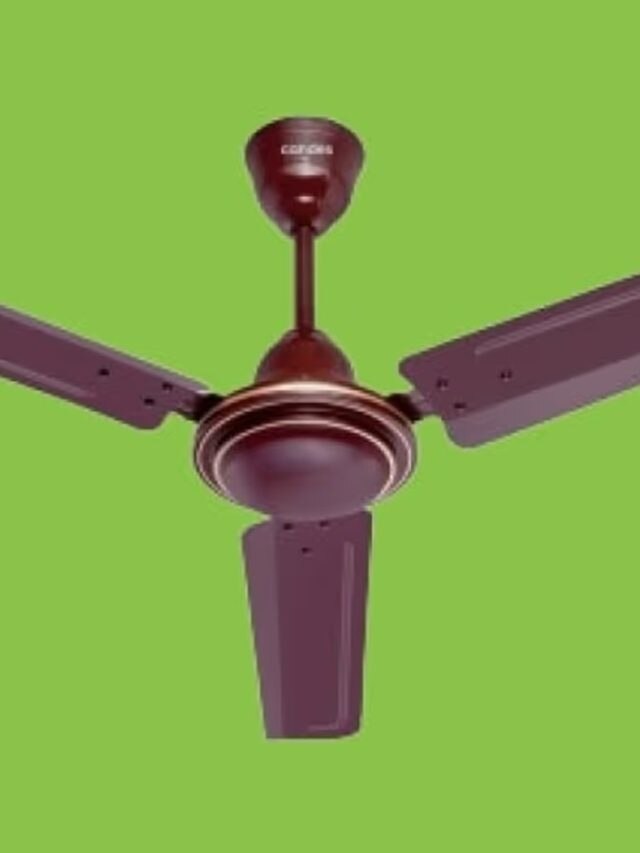 সিলিং ফ্যান দিনে  কতক্ষণ বন্ধ রাখা দরকার, না জানলে বড় বিপদ