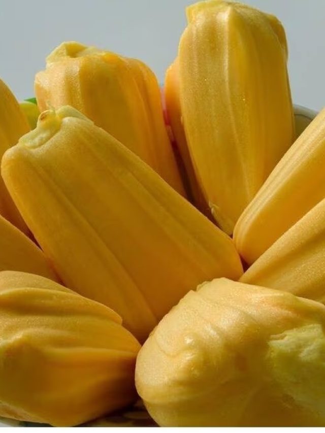 কাঁঠালের কোয়া লাগিয়ে নিন মুখে, তাতেই টানটান চামড়া, কীভাবে মাখবেন, জানুন