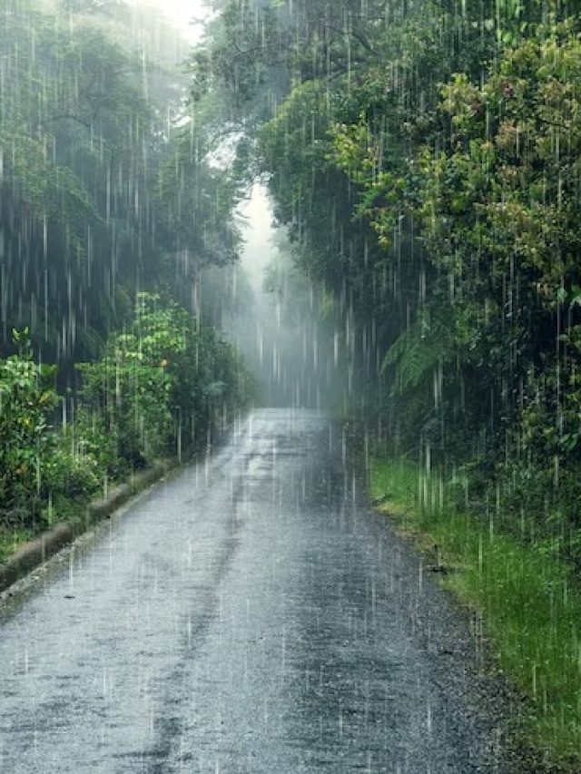 বর্ষাকালে পাহাড়ে ঘুরতে যাচ্ছেন পরিবার নিয়ে? এই কাজগুলি করলে বিপদ হয় না