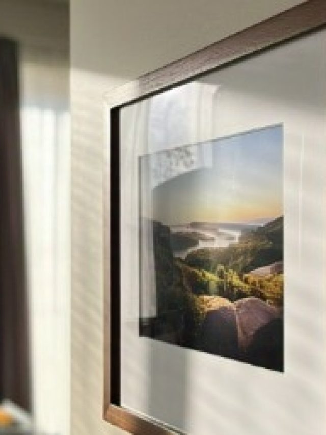 এই প্রাণীর ছবি ঘরে রাখলেই সুখ-উন্নতি হবে রাতারাতি, জানুন টোটকা