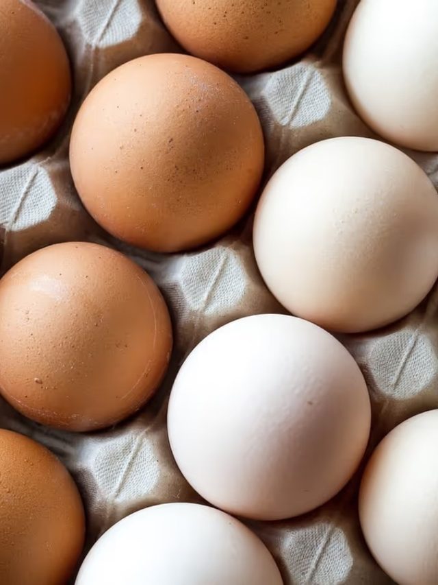 কোন ডিমে বেশি প্রোটিন, সাদা না বাদামি? জানুন