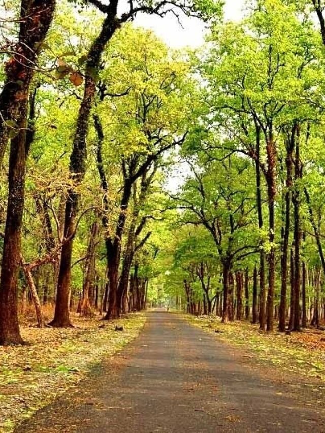 উত্তরবঙ্গে ঘোরার এই জায়গাগুলি সেরা, আপনি কটি দেখেছেন?