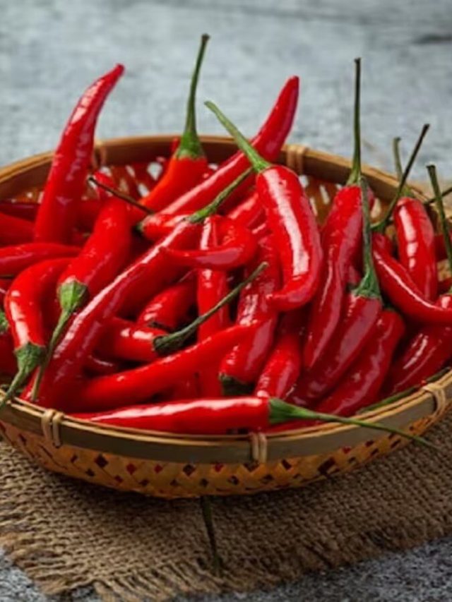 শুকনো লঙ্কা মাথার চারদিকে এভাবে ঘোরালেই সুখ-টাকা, টোটকা জেনে নিন