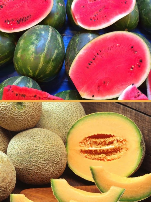 তরমুজ না খরমুজ, গরমে কোন ফল খেলে বেশি উপকার?